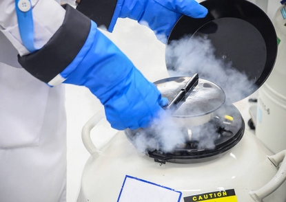 液氮罐盖塞 液氮罐盖塞